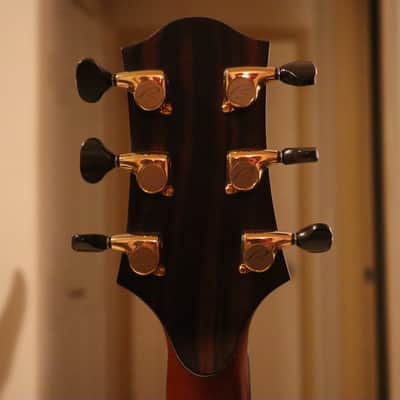Kevin Ryan Nightingale - Pierre Bensusan image 8