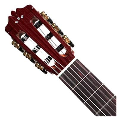 Cordoba Luthier C9 Cedar Nylon String Guitar - B-Stock image 4