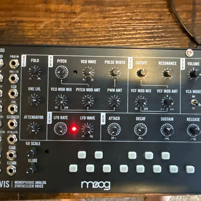 Moog Mavis Monophonic Analog Synthesizer Voice 2022 - Present - Black image 1