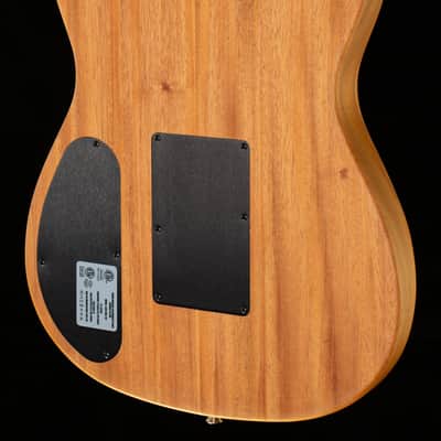 Fender American Acoustasonic Telecaster Pink Paisley (433) image 2