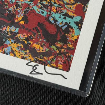 PRS SE Ed Sheeran Signature Hollowbody I Baritone - incl. artprint with AUTOGRAPH - NEW image 3