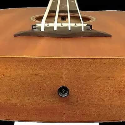 Gold Tone M-Bass25FL/L 25-Inch Scale Fretless 4-String Acoustic-Electric MicroBass w/Hard Case For Left Hand Players image 3