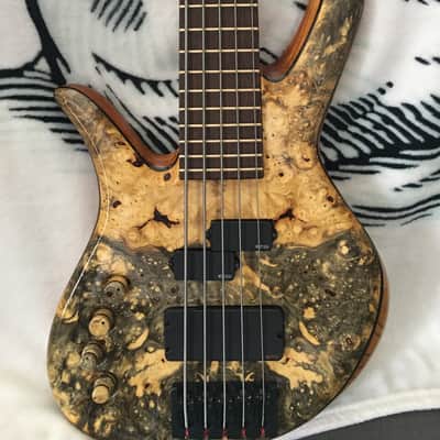 Prana custom bass PC-Buckeye burl 5str.  2014 Clear image 4