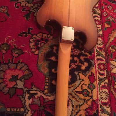 Shergold  Left Handed 12 String  Custom Masquerader 1986 Tobacco Burst image 7