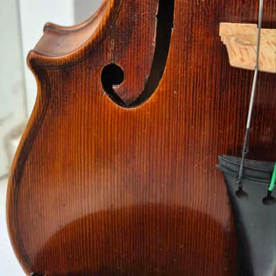 Schöne alte Geige Guarnerius Modell image 4