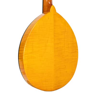 Gold Tone GM-10 Frypan Mandolin image 8