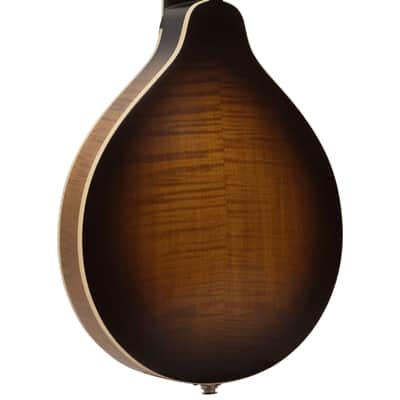 Gold Tone GM-55A A-Style Mandolin with Pickup image 10