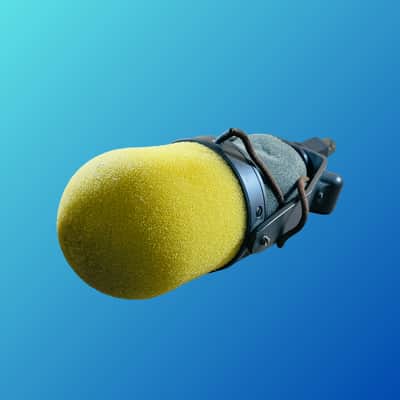 Shure SM5B image 4