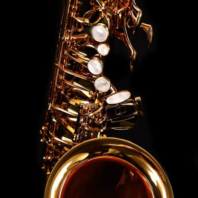 Selmer Paris 82SIGF HSP Professional Alto Saxophone, Vintage Matte image 5