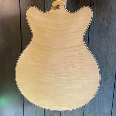 Agile AS820 12 String Semi-hollow Electric Guitar image 6