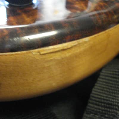 G Gould GGJ5 5string bass with deluxe gigbag imagen 9