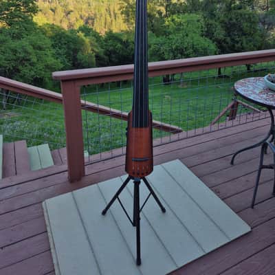 NS DESIGN NXT Upright Bass. With FLIGHT CASE. 4 String Circa 2010 image 1