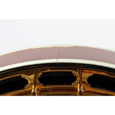 Epiphone Earl Scruggs Signature Golden Deluxe Resonator Banjo - Natural image 4