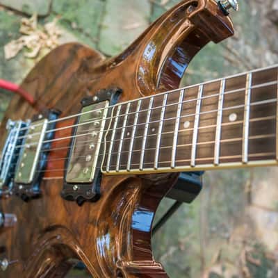 Scott Walker "Special" Guitar - 2011 - walnut & mahogany image 11