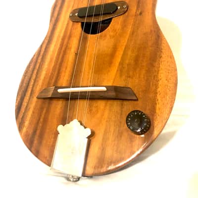 Acoustic/electric dulcimer guitars image 5