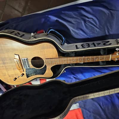Cole Clark Fat Lady FL2EC-RH-BLBL-Hum Blackwood Acoustic Electric Guitar Right-Handed w/ OHSC image 1