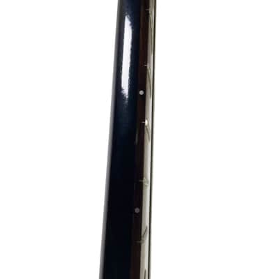 Jerry Jones Coral Sitar Electric Guitar - Owned by Ry Cooder w / COA & VIDEO image 7