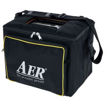 AER Compact-60/4-ONT | 60W Acoustic Amp w/ 8" Speaker, Natural Oak. New with Full Warranty! image 5
