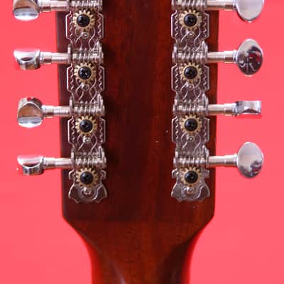Vintage Japanese Made Gamma 12 String Acoustic Electric  Guitar image 5