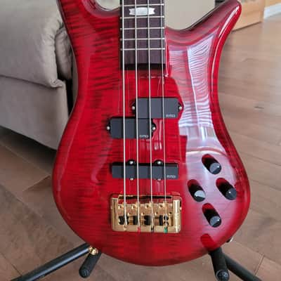 Spector Euro 4LX 2023 - Black Cherry Gloss image 5