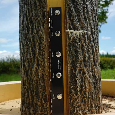 One Control Iguana Tail Loop MKIII - 5 loop with T.O. and BJF Buffer - OC-5PLV3 - NEW! image 7