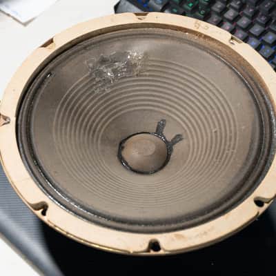 Fender Concert Amp 1964 | Pre-CBS, Gold Speakers | Excellent Condition, New Caps & Tremolo image 7
