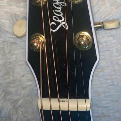 Seagull Artist Mosaic CH CW GT EQ Bourbon Burst Electric acoustic cutaway guitar made in Canada skb Hardshell case image 2