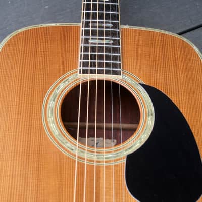 1975 Yairi YW-600 Dreadnought Guitar New Jacaranda Natural+Vintage Hard Case Bargain! image 20