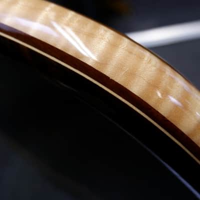 Alembic Tribute Jerry Garcia "Tiger" 8th Ever Built 2001 image 24