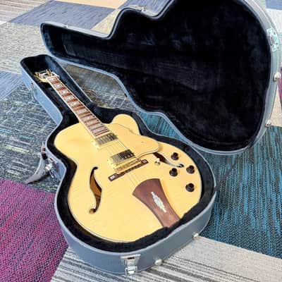 Ibanez AF105 NAT w/Case image 10