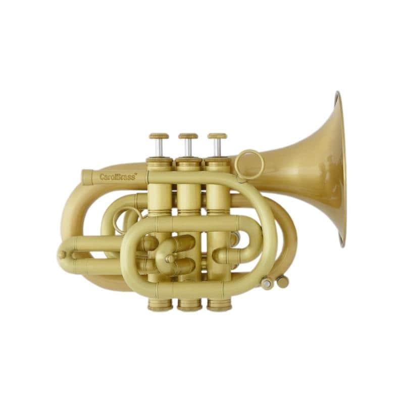 CAROL BRASS Carol Brass / N3000(D) ALL-SATIN GB [Bb Pocket Trumpet] [Pre-shipment adjustment for peace of mind] image 1