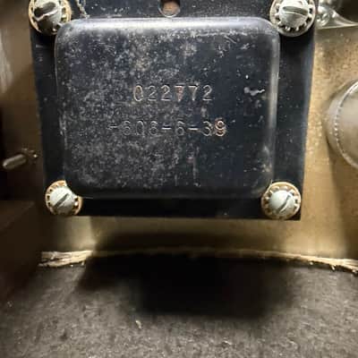 Fender Vibro Champ 1966 - Blackface image 7