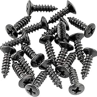Basic 2.5x10mm Metal Metric Thread Guitar Pickguard Jack Screws Truss Rod Cover Mounting Screws for Epiphone Les Paul Style, Black (Set of 20) image 1