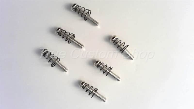 True Custom Shop® Chrome USA Size Pickup Mounting Springs & Screws for Fender Strat image 1