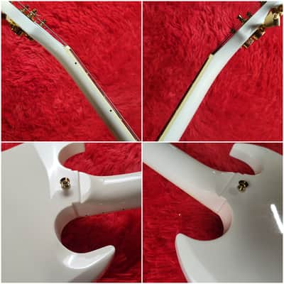 Cool Z ZSG-2/M SG Custom Limited Edition Model in 2012 - Snow White - All Original - Made By Fujigen in Japan MIJ image 14
