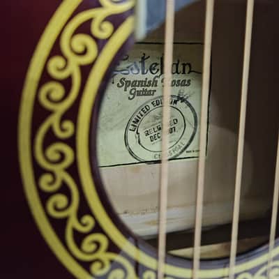 2007 Esteban Spanish Rosas Classical Electronic Acoustic Guitar - Floral image 5