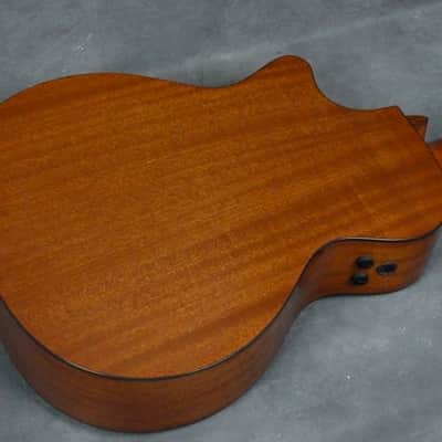Martin Performing Artist Series GPCPA3 Acoustic/Electric Guitar with Fishman F1 image 12