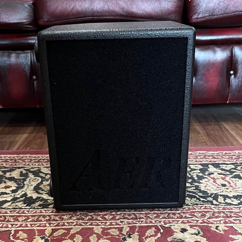 AER Domino 2 Acoustic Strategy Amplifier image 1