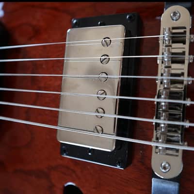 Godin 5th Avenue Uptown Custom - Havana Burst kg 2,75 image 14