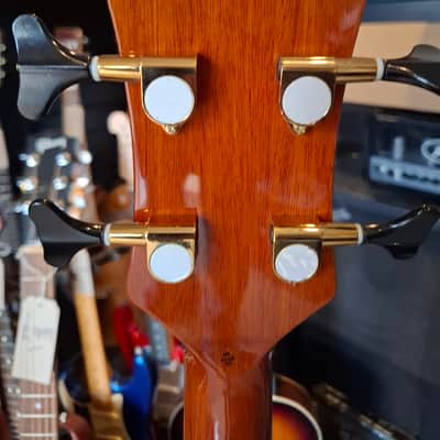 Luna Vista Series Bear Bass 2020's - Bear image 4
