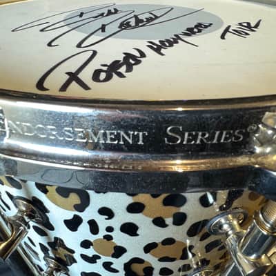 Rikkie Rockett's Poison, Innovation Drums 2000-2002 Tour Maple Kit, 7 Piece Set, Gladstone Style Snare Custom Cheetah Airbrush Finish. Signed! image 13