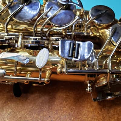 Selmer SAS301 Student Premium Alto Saxophone 2021 - Present - Lacquered Brass image 9