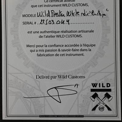 Wild Customs Wildmaster from 2022 in White Ja'o Pinstripe with Case image 11