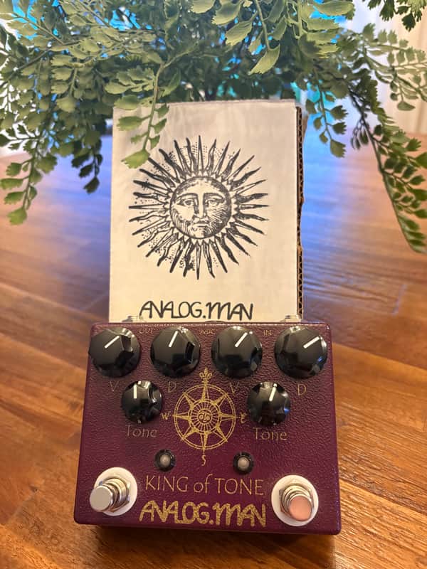 Analogman King of Tone V4 image 1