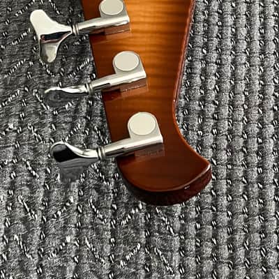 Alembic Elan 1989 - Light Sunburst/Maple image 13