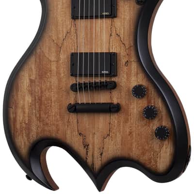 Wylde Audio Wrathmaker Spalted Maple with Black Burst image 1