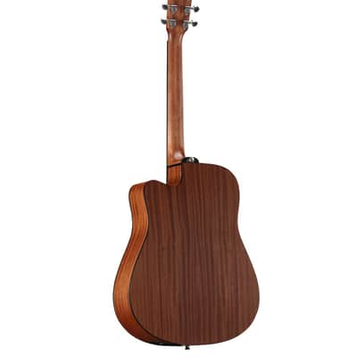 Alvarez Ad30 Ce Artist image 2