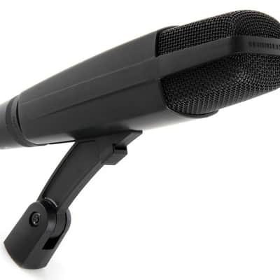 Sennheiser MD 421-II Cardioid Dynamic Microphone