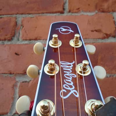 Seagull  Performer CW CH Burnt Umber Presys ll w/bag , sf image 4