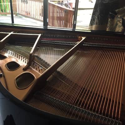 George Steck GS42 - Made in 2005 - Polished Ebony image 6